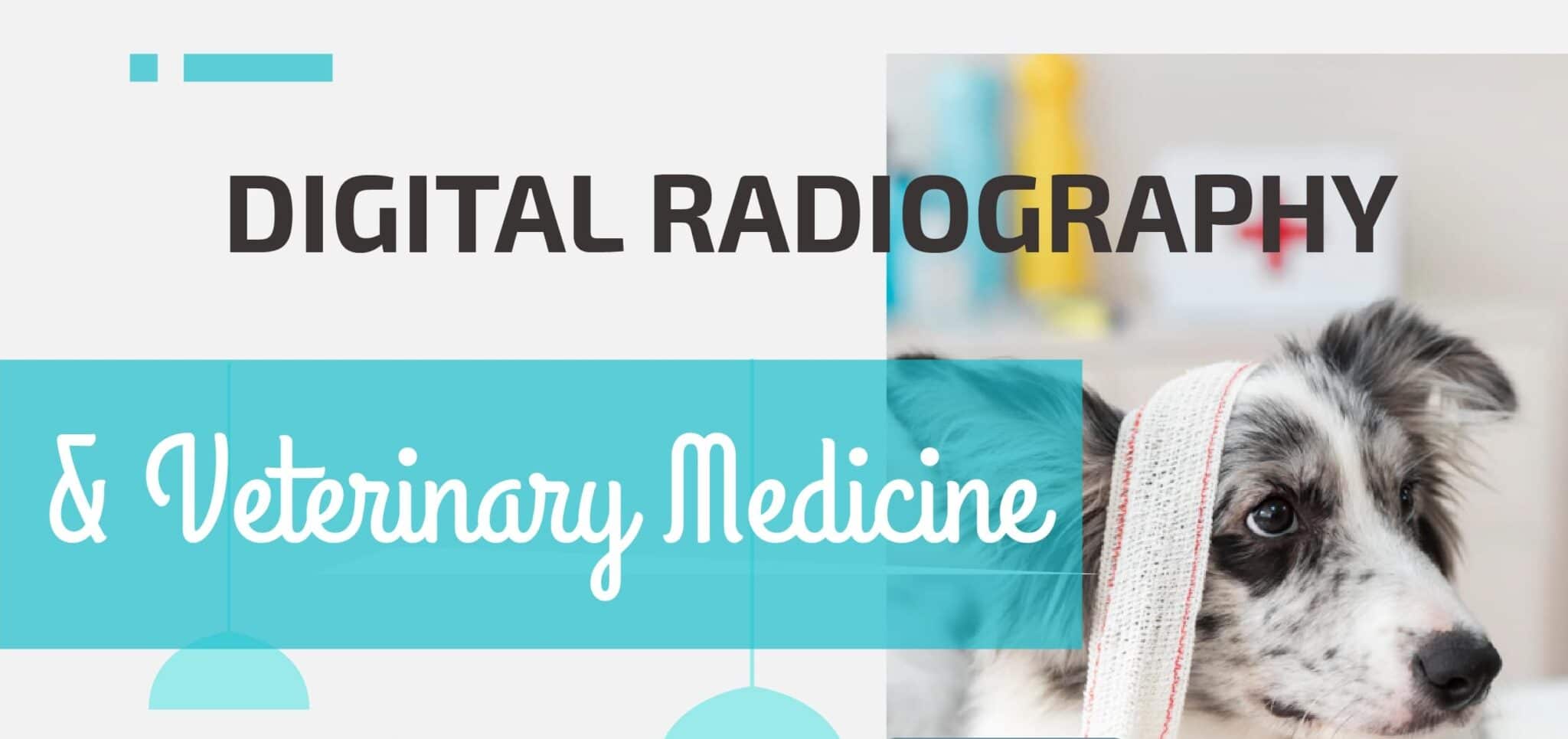 Digital Radiography & Veterinary Medicine - Copy